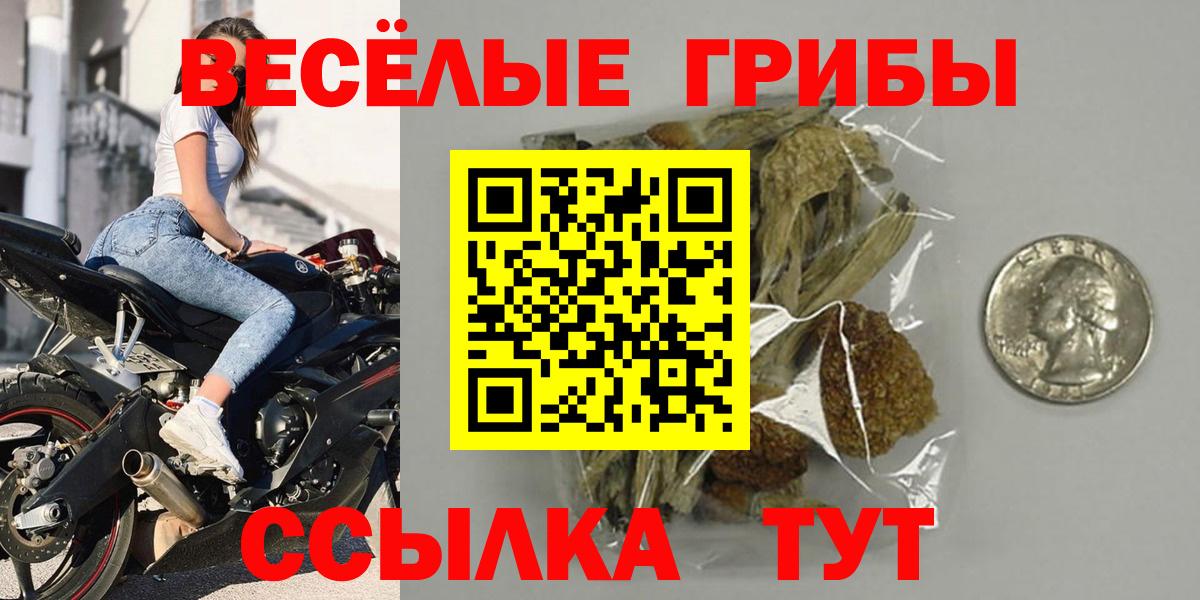 A PVP Горно-Алтайск