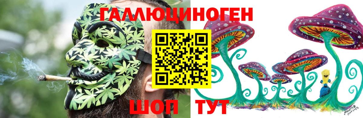 Горно-Алтайск  Псилоцибиновые грибы Cubensis  Псилоцибиновые грибы Magic Shrooms  Вход с VPN 
