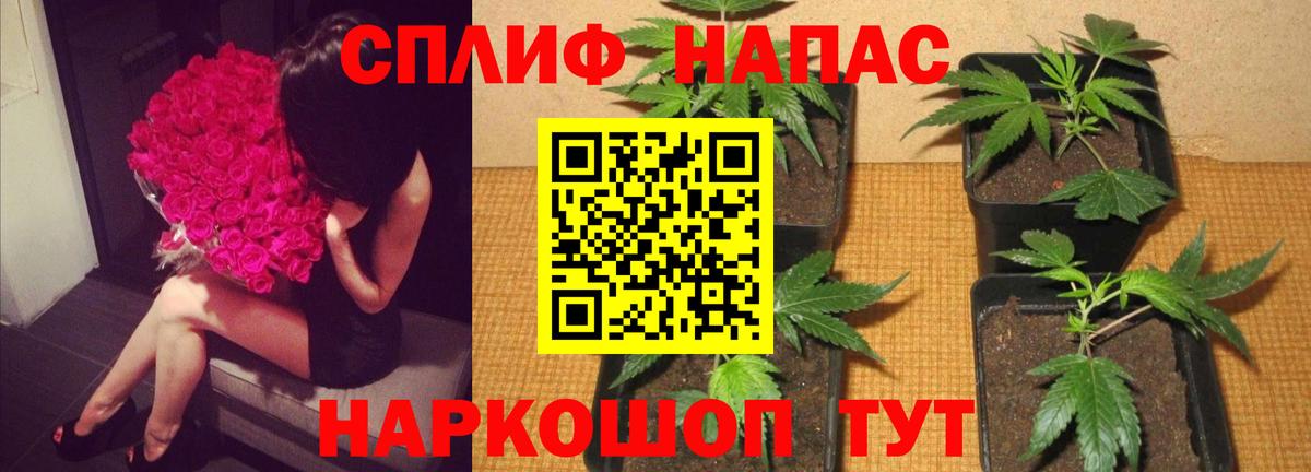 Бошки марихуана THC 21%  Бошки Шишки марихуана  Вход с VPN  Горно-Алтайск 